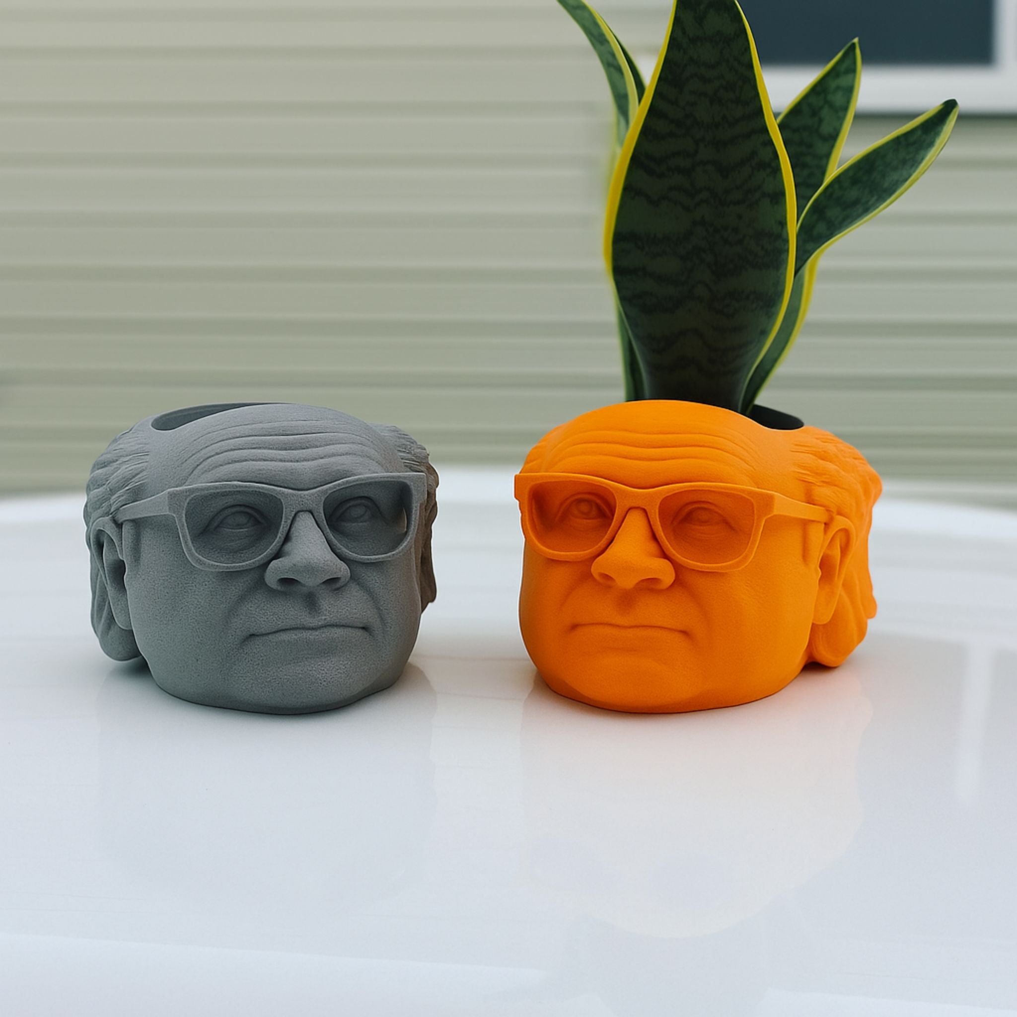 Danny Devito Plant Pot