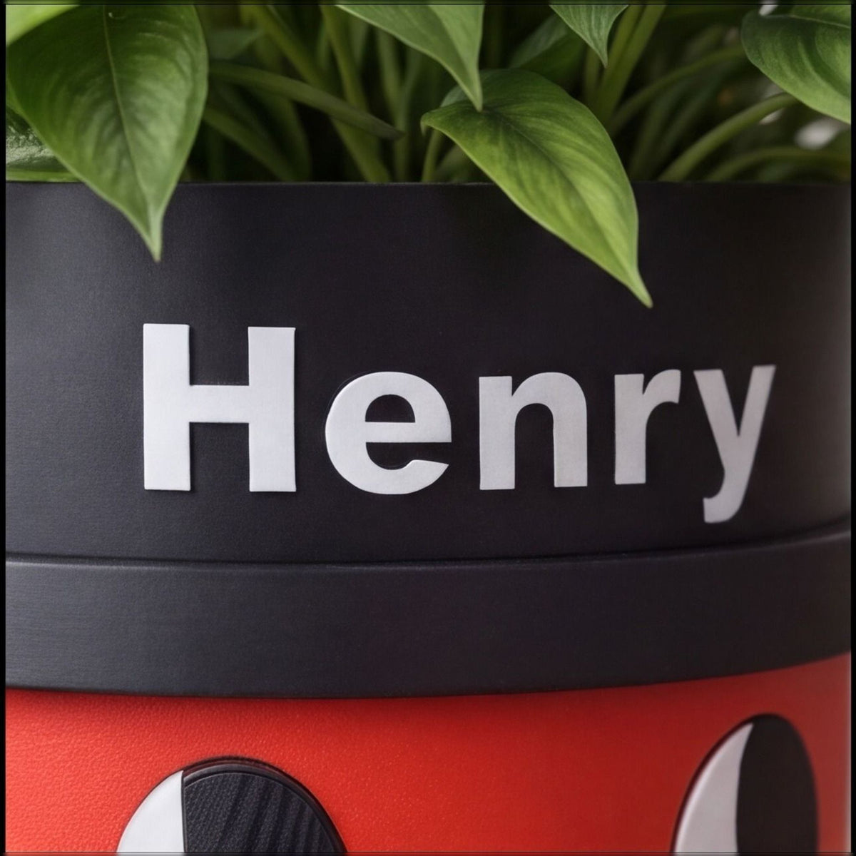 Henry Hoover Plant Pot