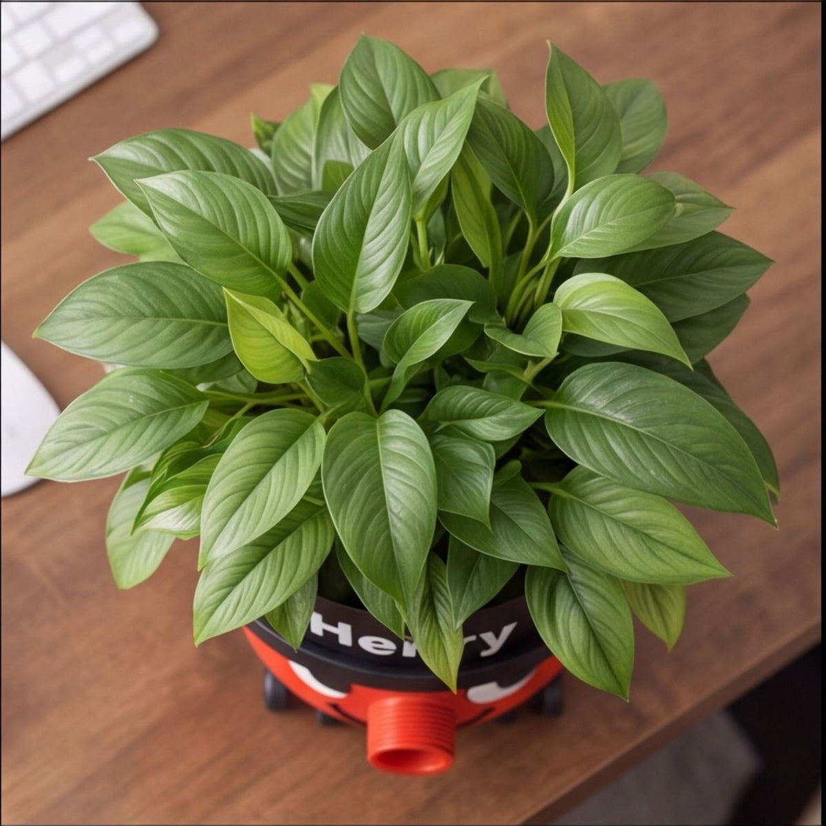 Henry Hoover Plant Pot