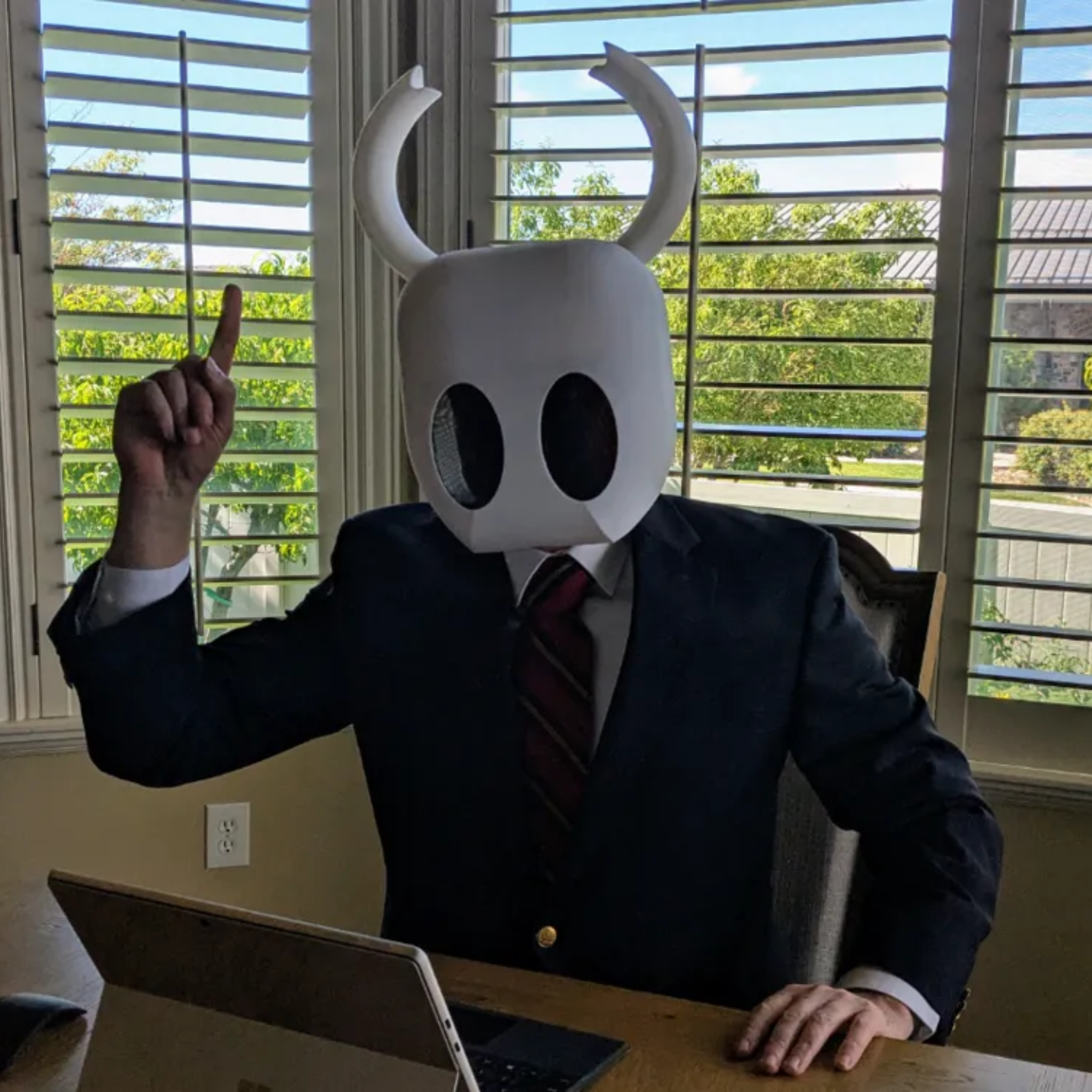 Hollow Knight Cosplay Mask