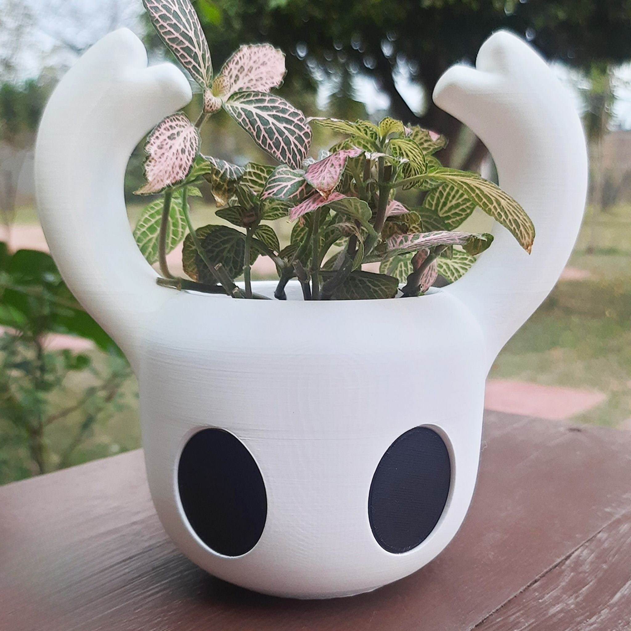 Silksong & Hollow Knight Plant Pots
