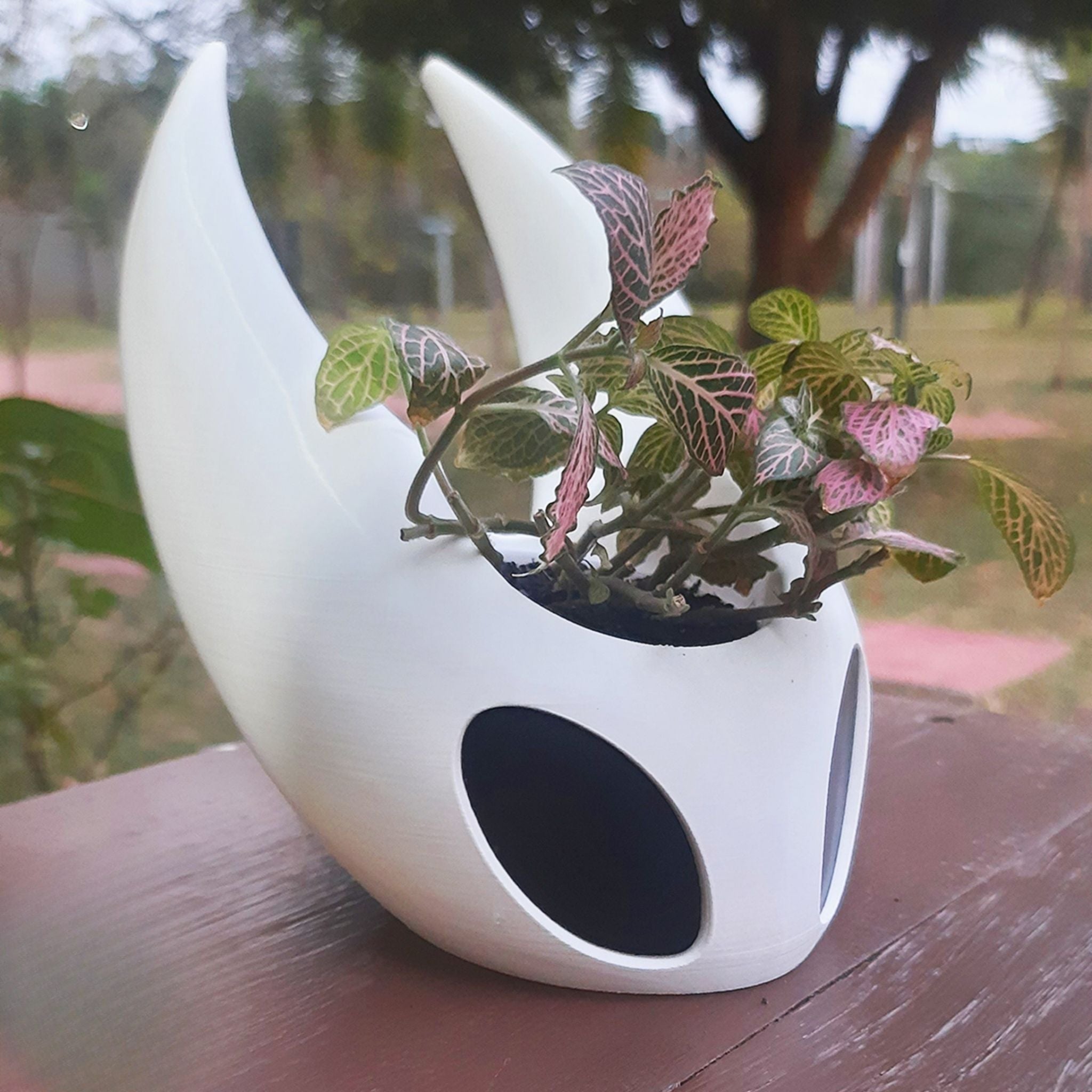 Silksong & Hollow Knight Plant Pots