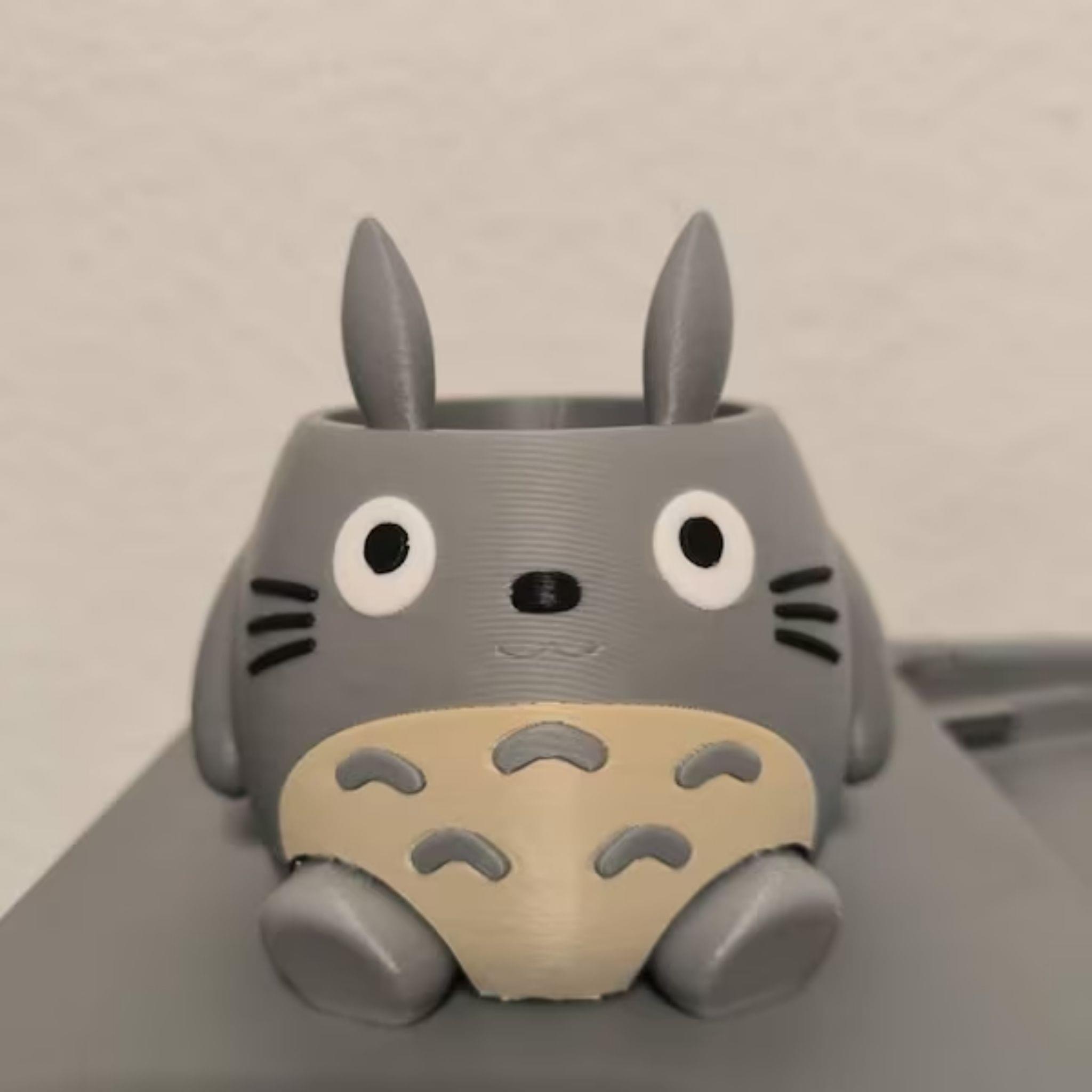 totoro succulent Totoro Plant Pot
