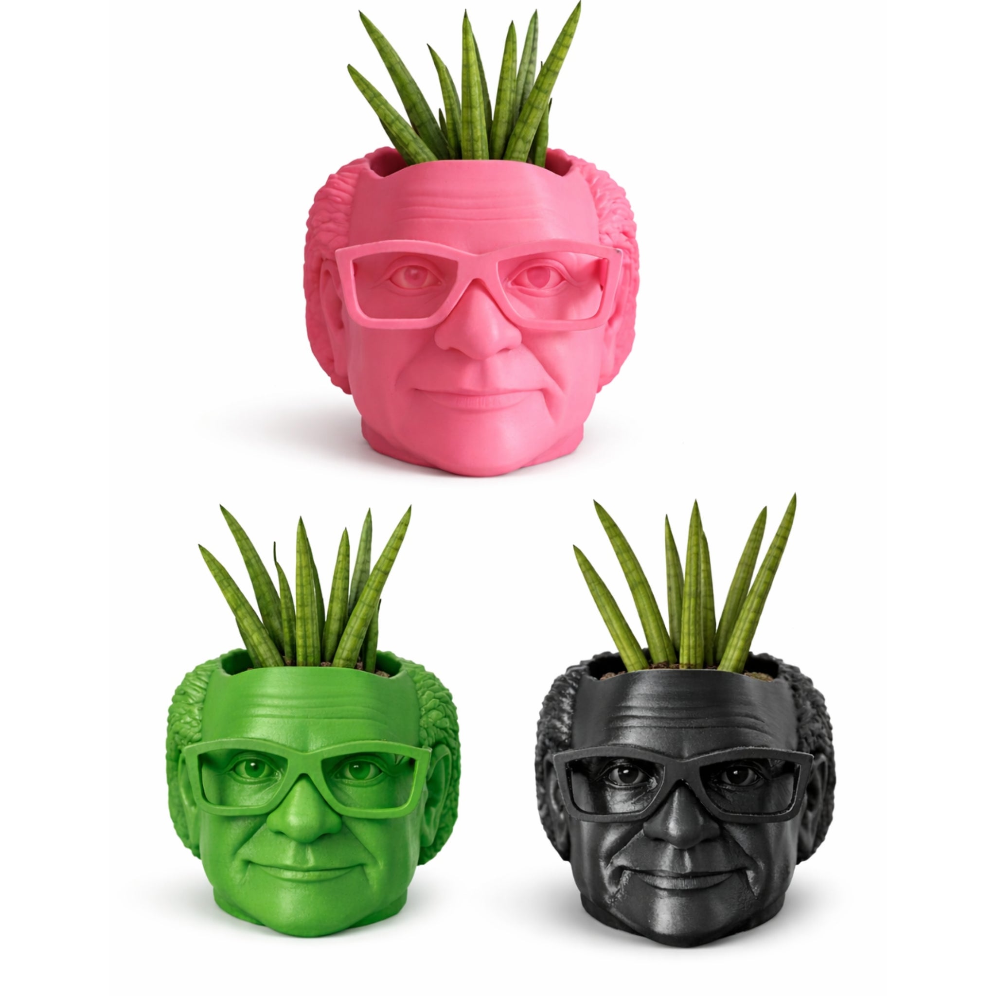 Danny Devito Plant Pot