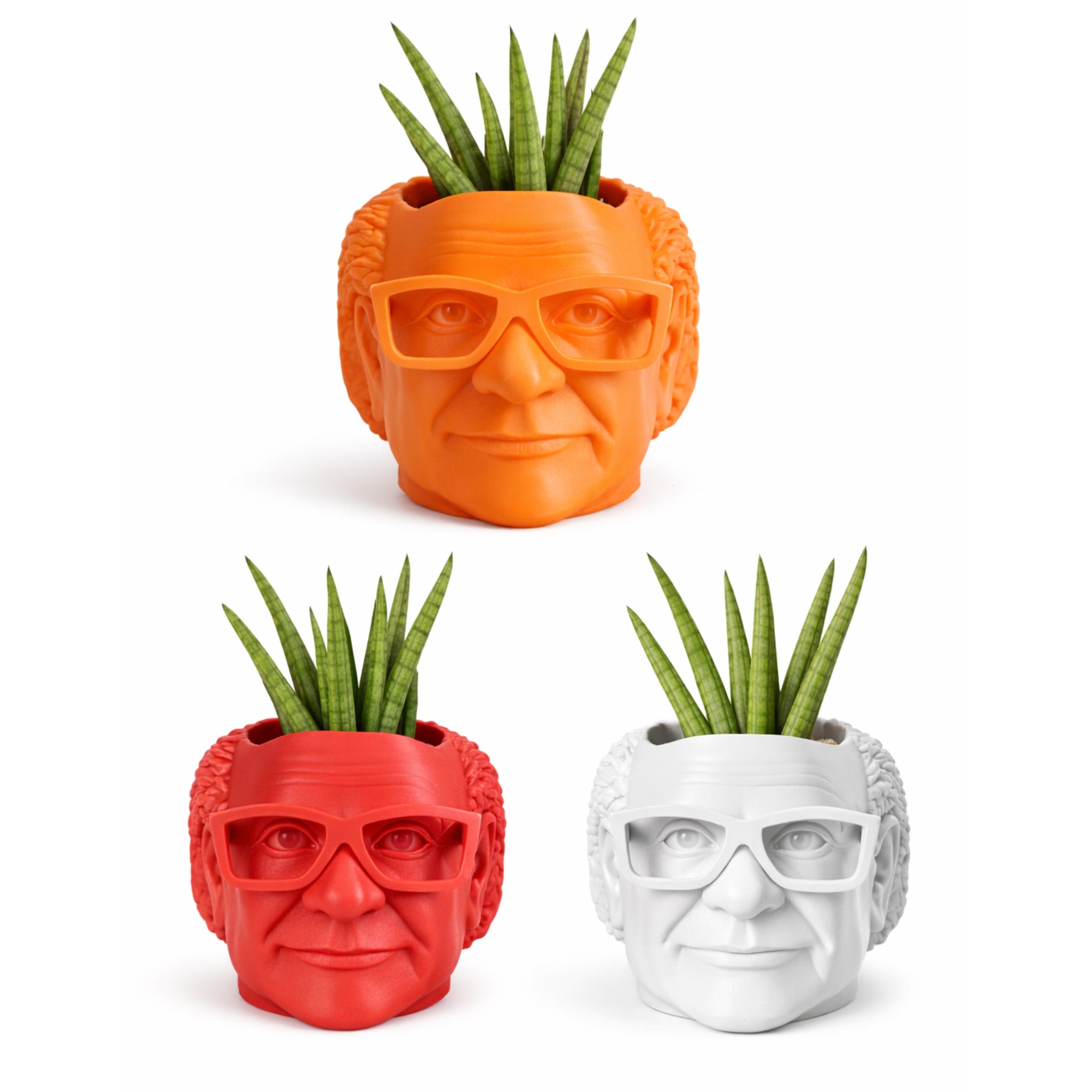 Danny Devito Plant Pot