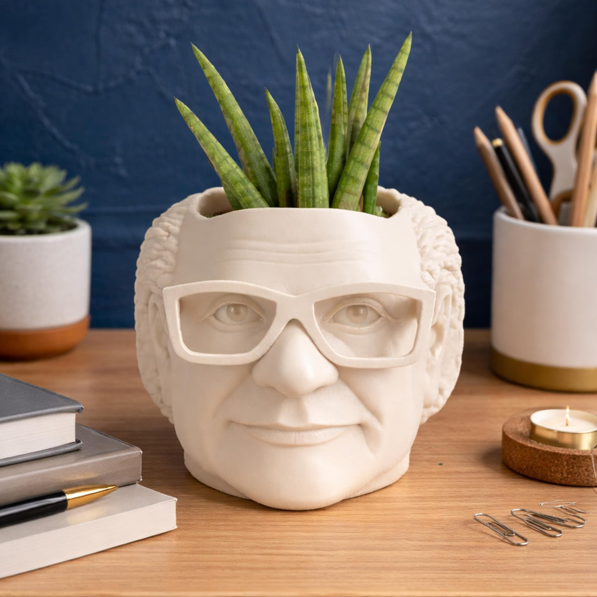 Danny Devito Plant Pot