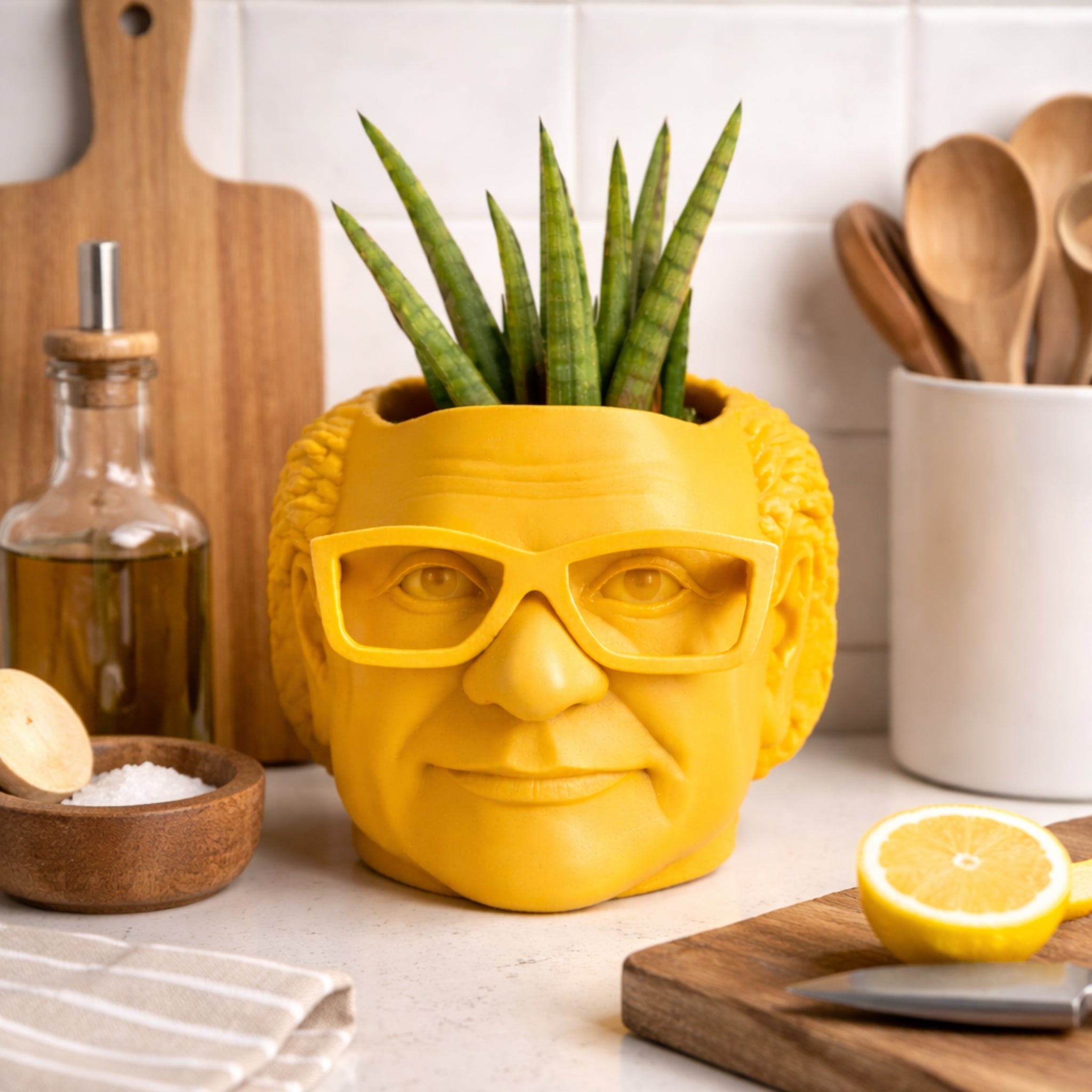 Danny Devito Plant Pot
