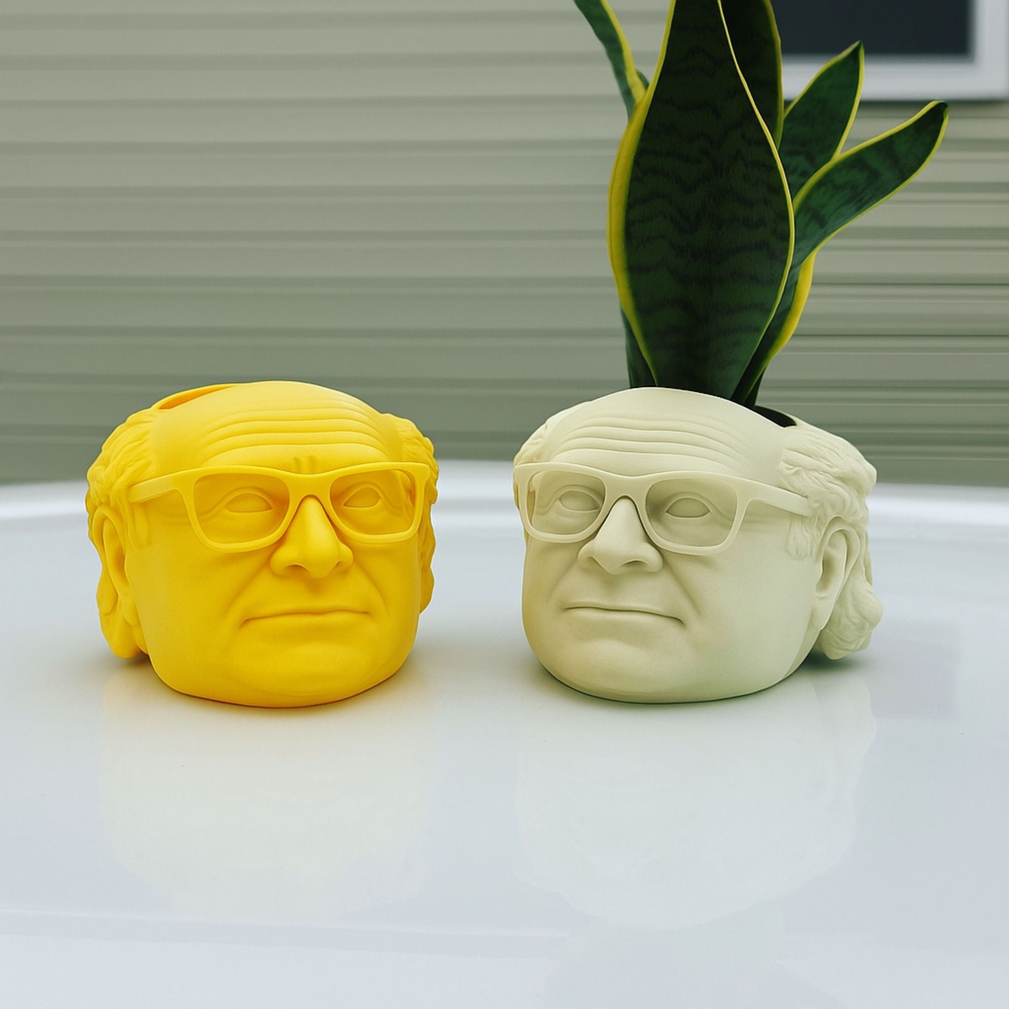 Danny Devito Plant Pot