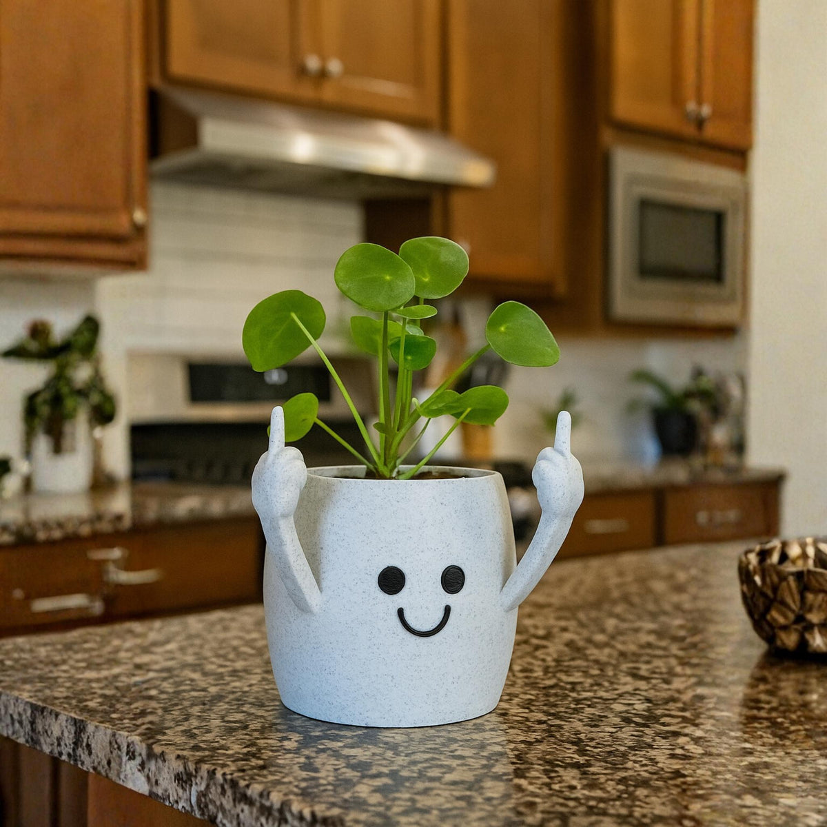 Rude Gesture Planter | Funny Middle Finger Plant Pot | Humorous Home or Office Decor - ThreadaliciousUK