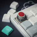 Iron Fist Alexander Keycap • Souls-Inspired Mechanical Keyboard Key • Artisan Resin-Style Keycap • Desk Display Accent - MoreMiniaturesStudio