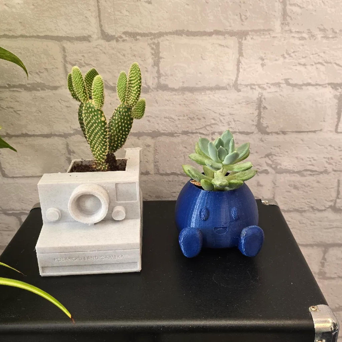 Instant Camera Planter Pot | Retro Camera Plant Pot | Cute Desk Planter | Mini Succulent Pot | Photographer Gift | Home Decor - MoreMiniaturesStudio