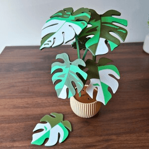 Monstera Leaf Coaster Set – Tropical Botanical Home Decor