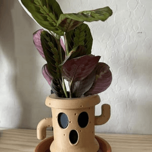 Lloid Gyroid Inspired Planter – Animal Crossing Fan Gift
