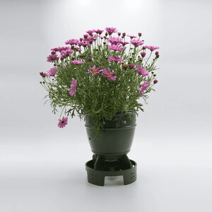 XL Fallout-Inspired Mini Nuke Novelty Flower Pot Planter