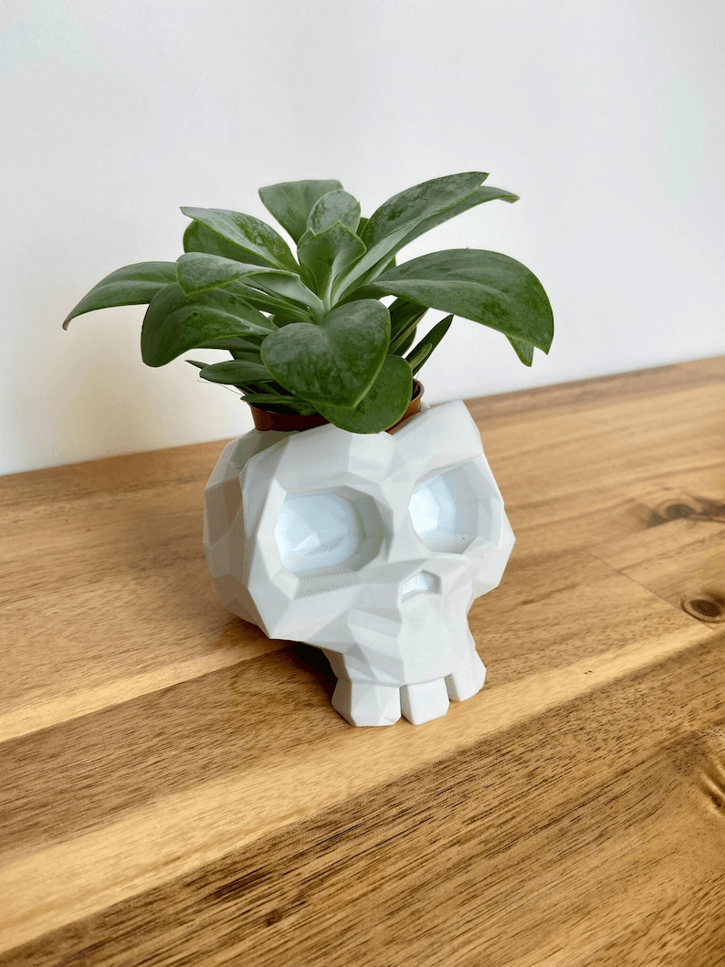 Low Poly Skull Flower Pot | Geometric Gothic Planter