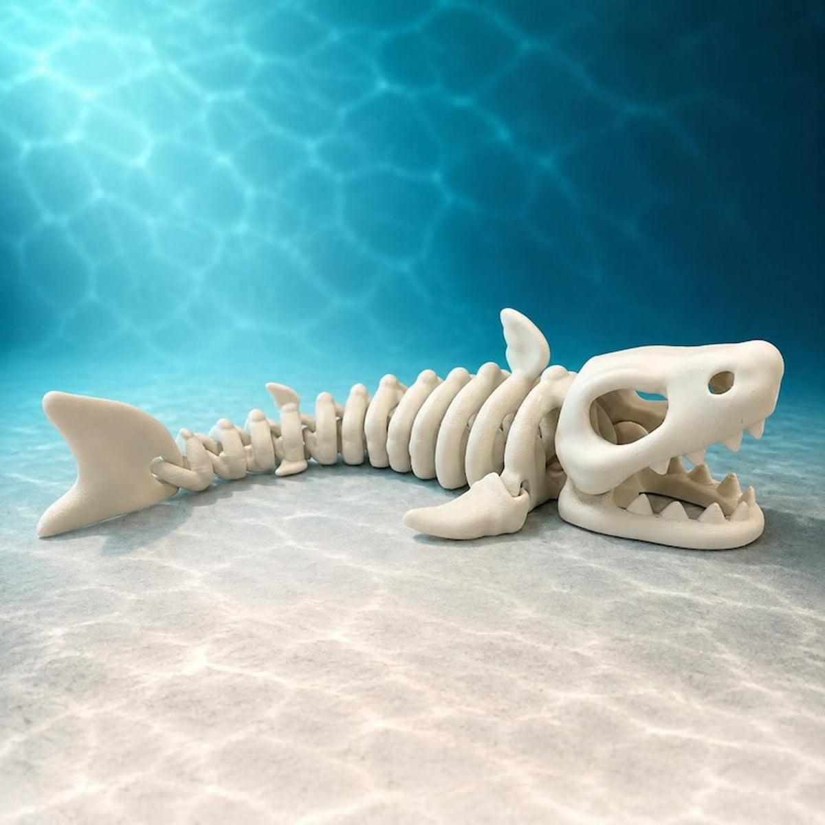 Articulated Skeleton Shark Fidget Toy – Poseable Desk Decor
