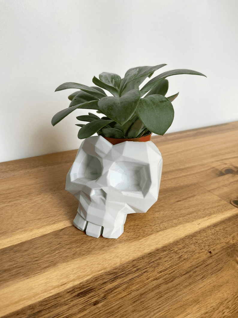 Low Poly Skull Flower Pot | Geometric Gothic Planter