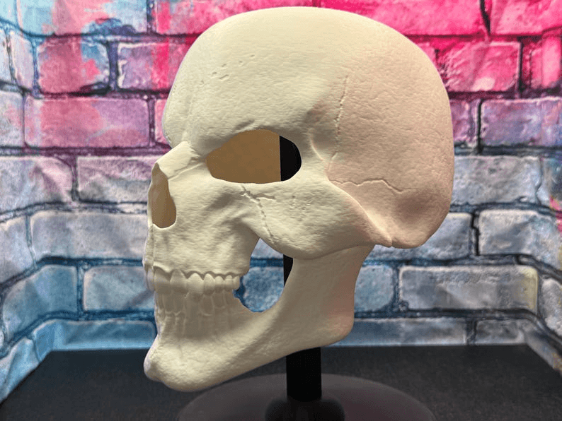 Skeletor Inspired Skull Helmet Mask – Fan Cosplay