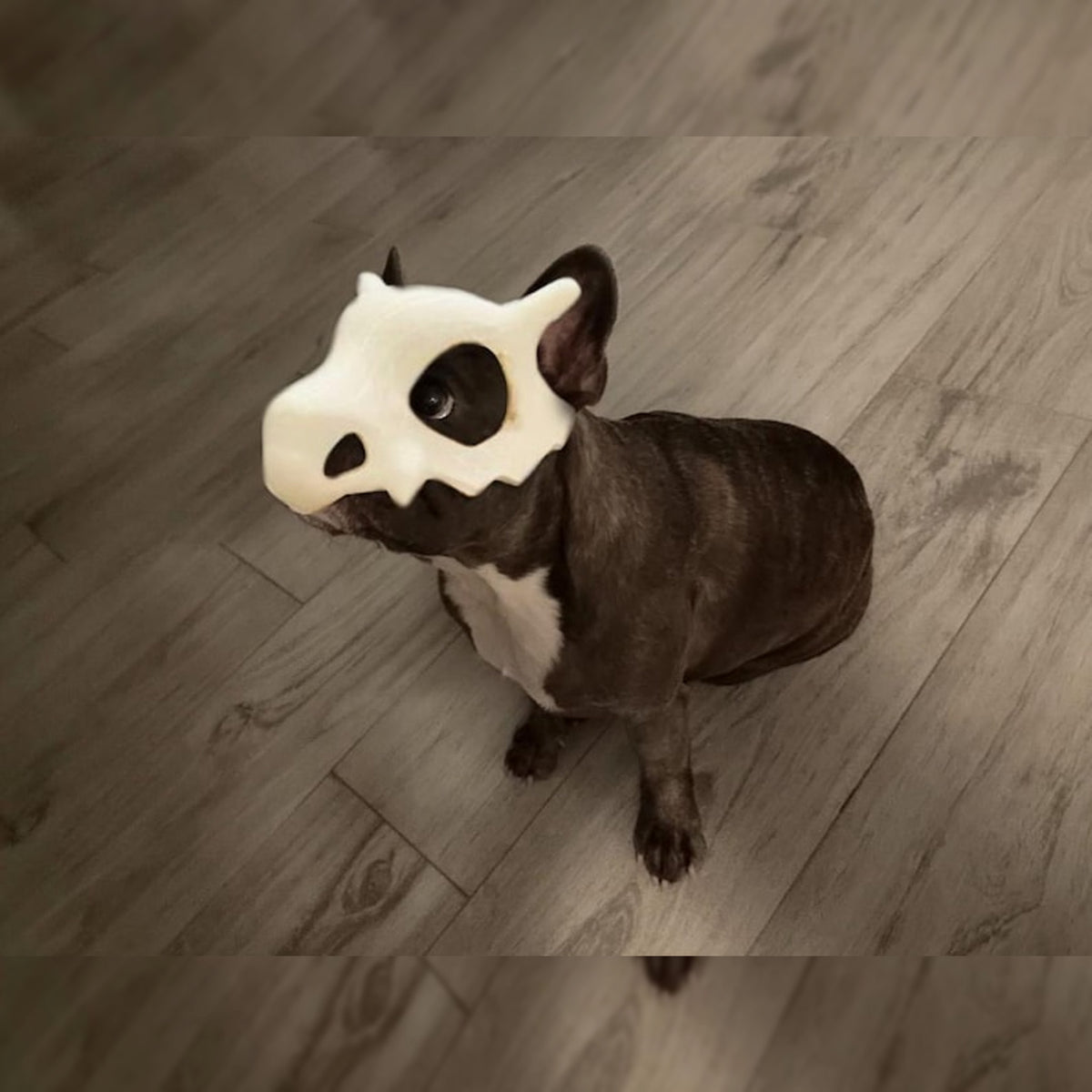Cubone-Inspired Skull Mask Wearable Cosplay Replica