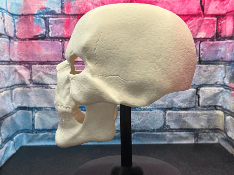 Skeletor Inspired Skull Helmet Mask – Fan Cosplay