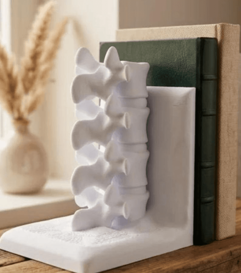Anatomical Spine Vertebrae Bookend – Medical Decor Gift