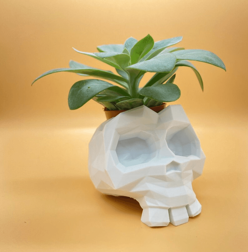 Low Poly Skull Flower Pot | Geometric Gothic Planter