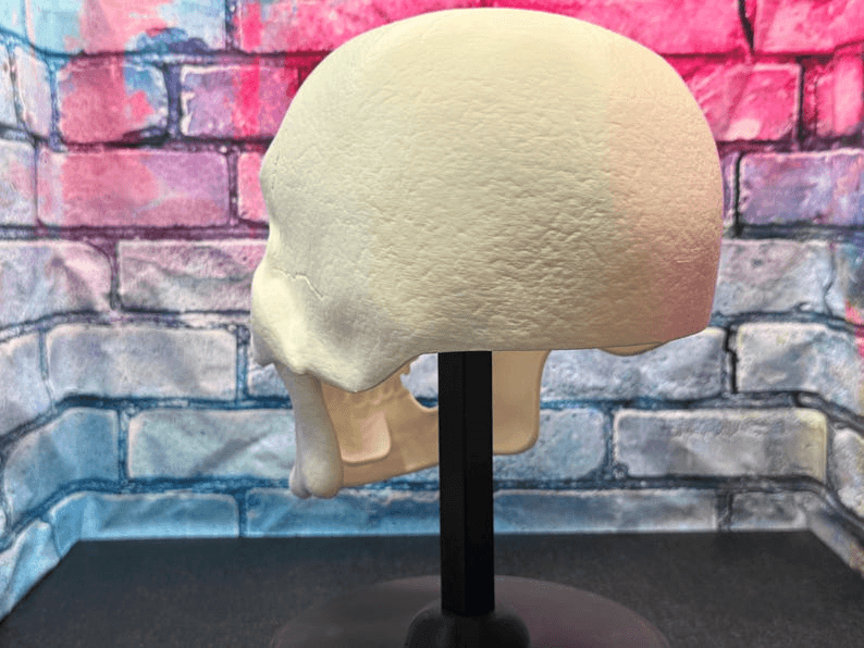 Skeletor Inspired Skull Helmet Mask – Fan Cosplay