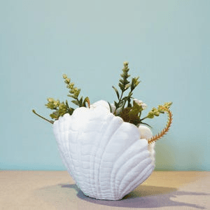 Seashell Mini Vase | Ocean-Inspired Shell Flower Holder