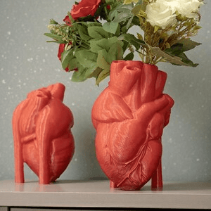Anatomical Heart Vase – Gothic Home Decor Sculpture
