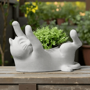 Playful Lazy Cat Succulent Planter | Novelty Desk Pot