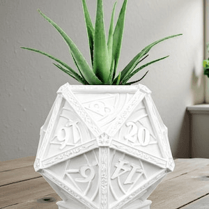 D20 Dice Succulent Planter – Elvish Fantasy RPG Decor