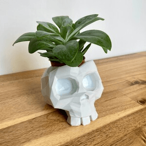 Low Poly Skull Flower Pot | Geometric Gothic Planter