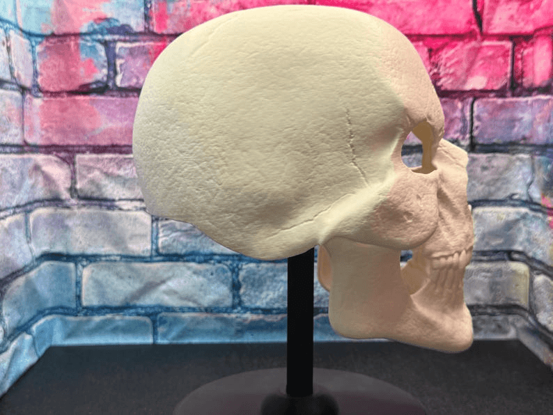 Skeletor Inspired Skull Helmet Mask – Fan Cosplay