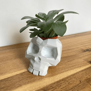 Low Poly Skull Flower Pot | Geometric Gothic Planter