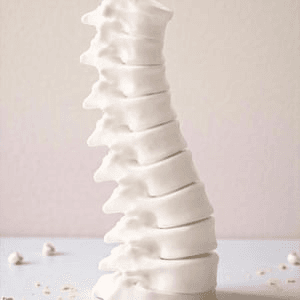 Gothic Anatomical Spine Vase | Dark Home Decor