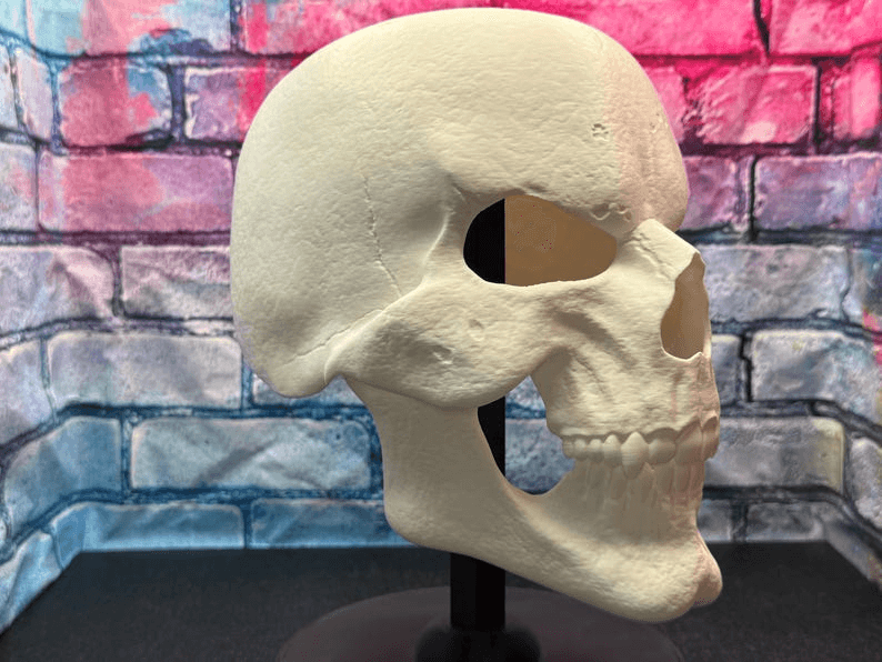 Skeletor Inspired Skull Helmet Mask – Fan Cosplay