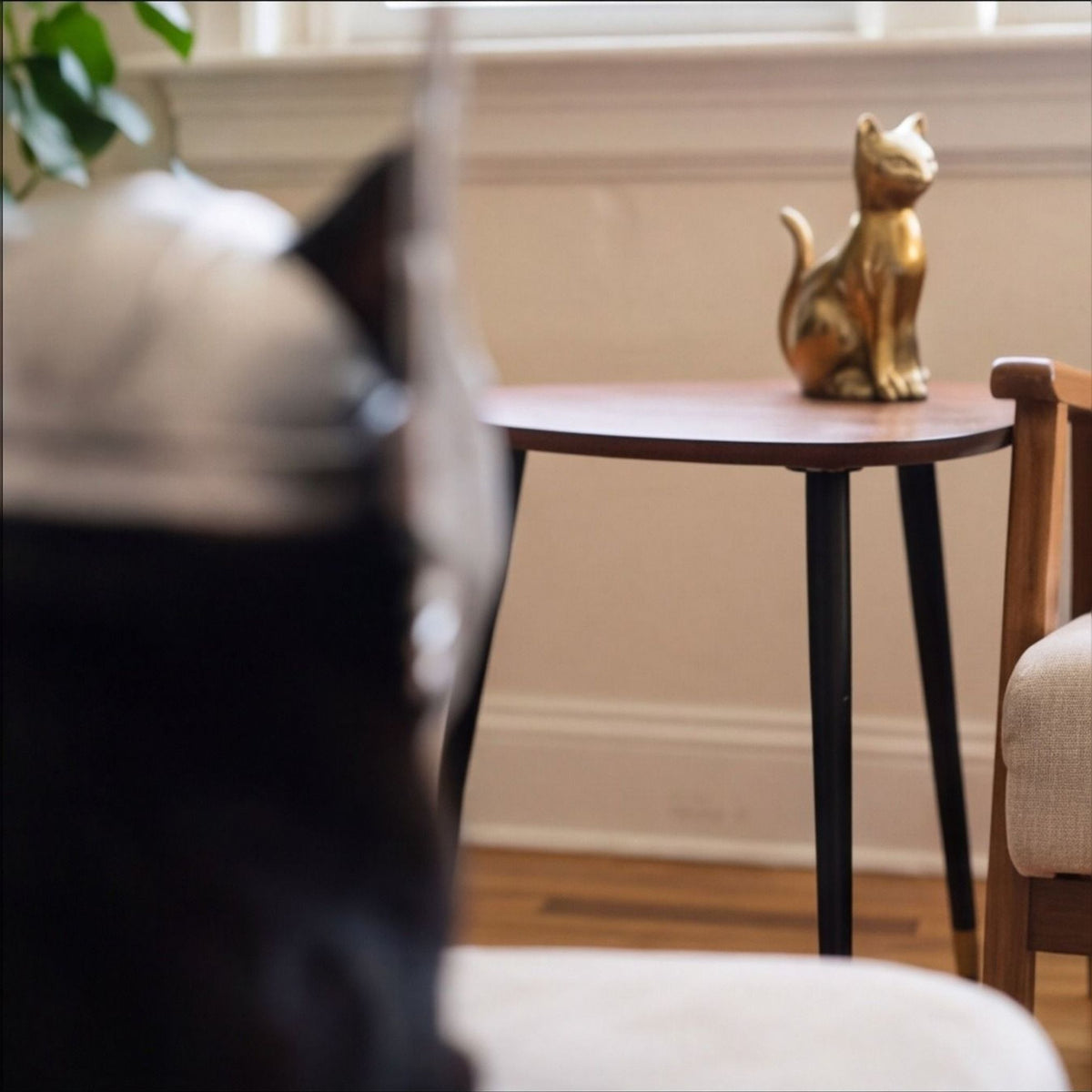 Thor-Inspired Cat Helmet | Novelty Pet Costume Accessory
