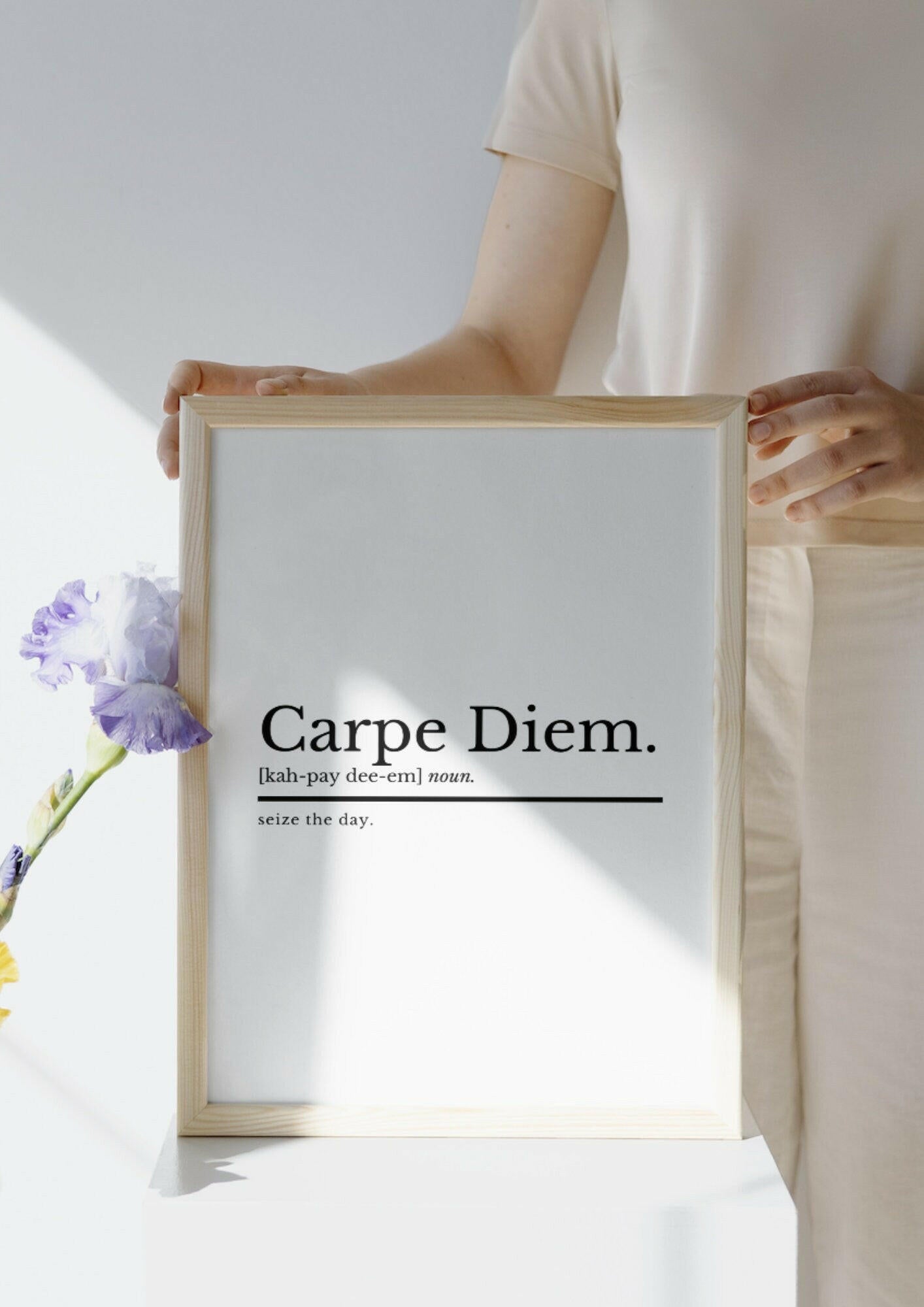 Inspirational Prints | Carpe Diem Definition Print | Motivational Prints | Life Print | Positive Mantra Quotes | Seize The Day Print | Quote - ProfessorPrintsUK - A2