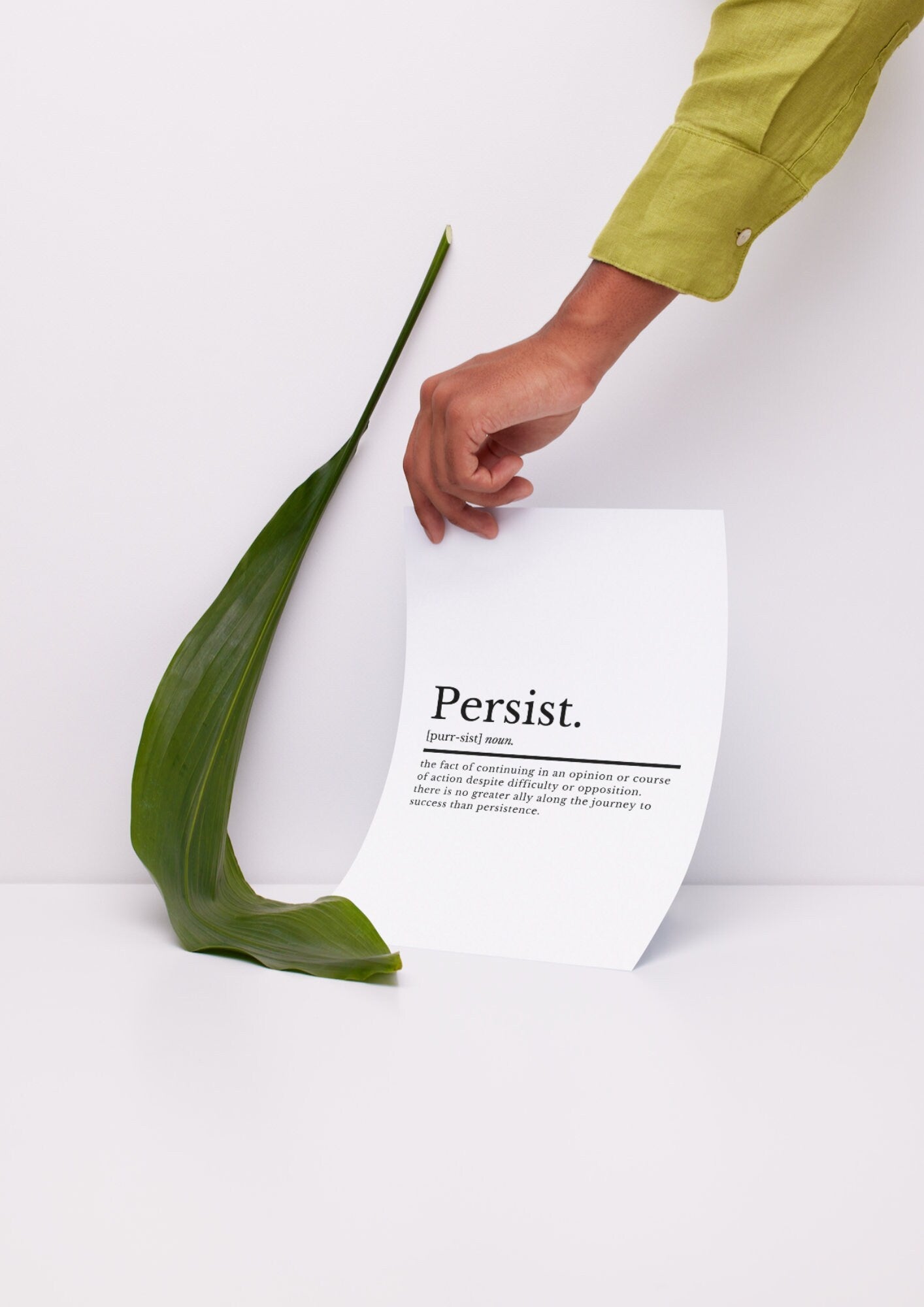 Persist Definition Motivational New Job Gift | New Business Gift | New Venture Gift | Inspirational Print | Positivity Gift | Congratulation - ProfessorPrintsUK - A1