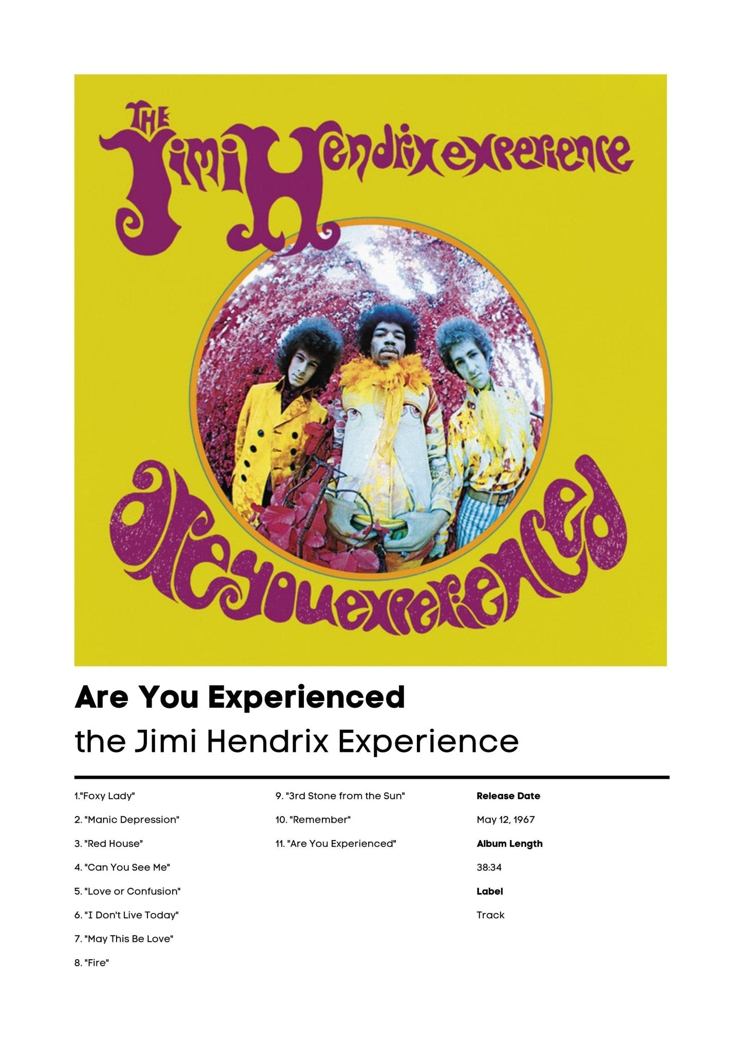 The Jimi Hendrix Experience, Are You Experienced | Music Gift | Birthday Gift | Jimi Hendrix Album Wall Art | Hendrix Poster - ProfessorPrintsUK - A1