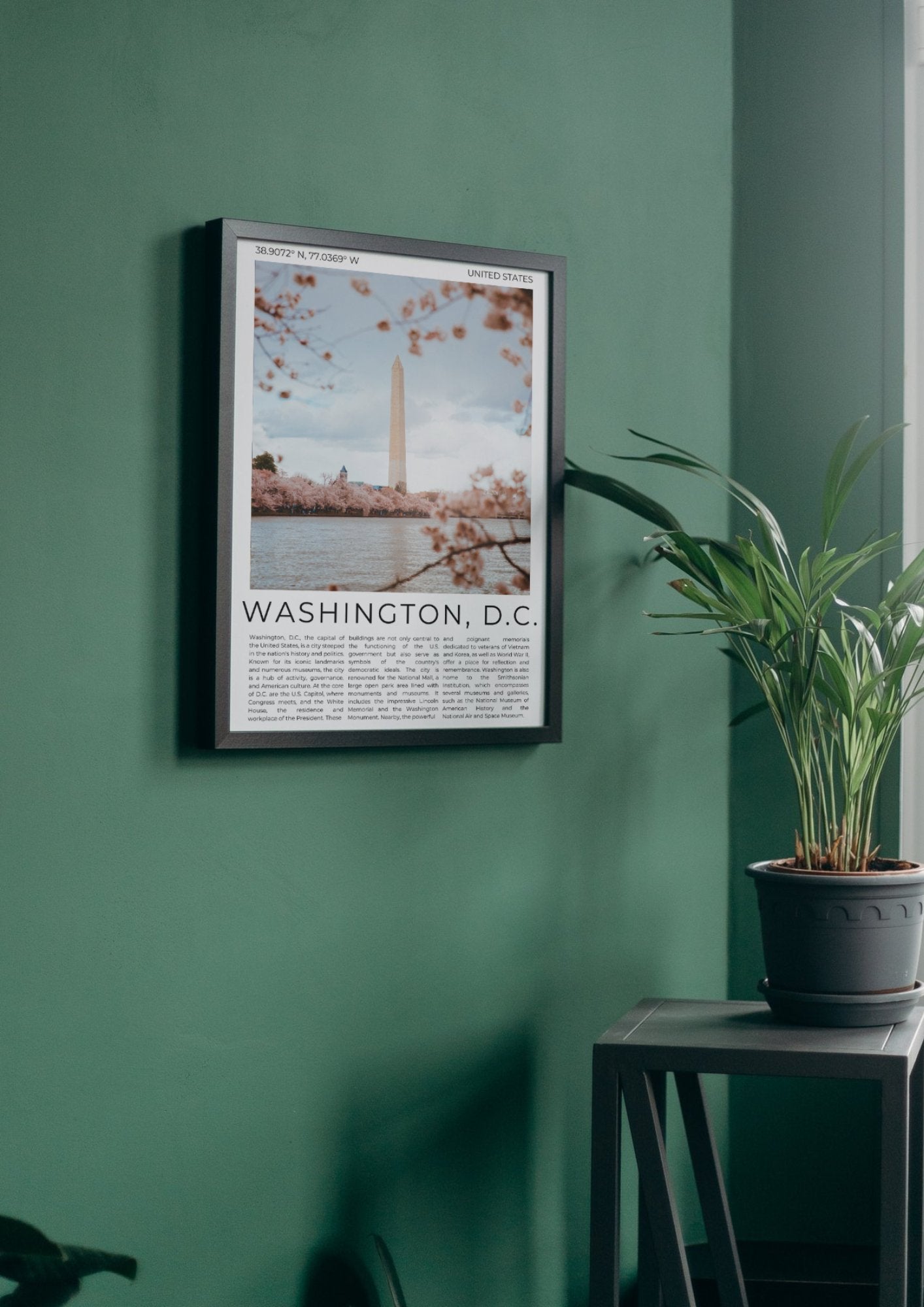 Washington D.C.: The Nation's Capital - ProfessorPrintsUK - A6