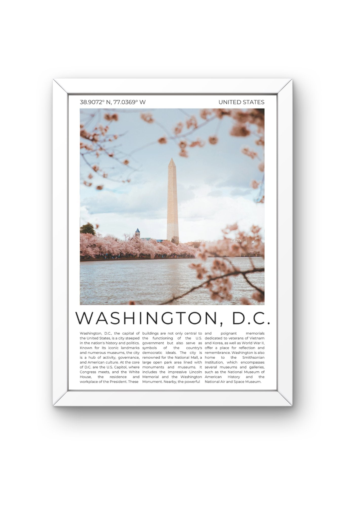 Washington D.C.: The Nation's Capital - ProfessorPrintsUK - A6