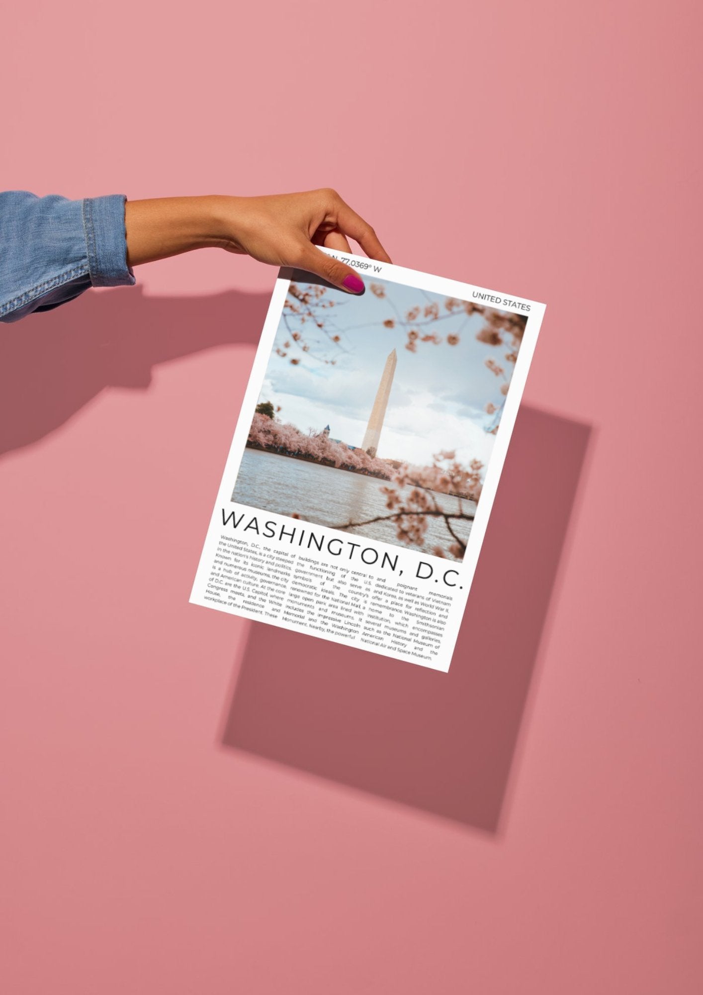 Washington D.C.: The Nation's Capital - ProfessorPrintsUK - A6