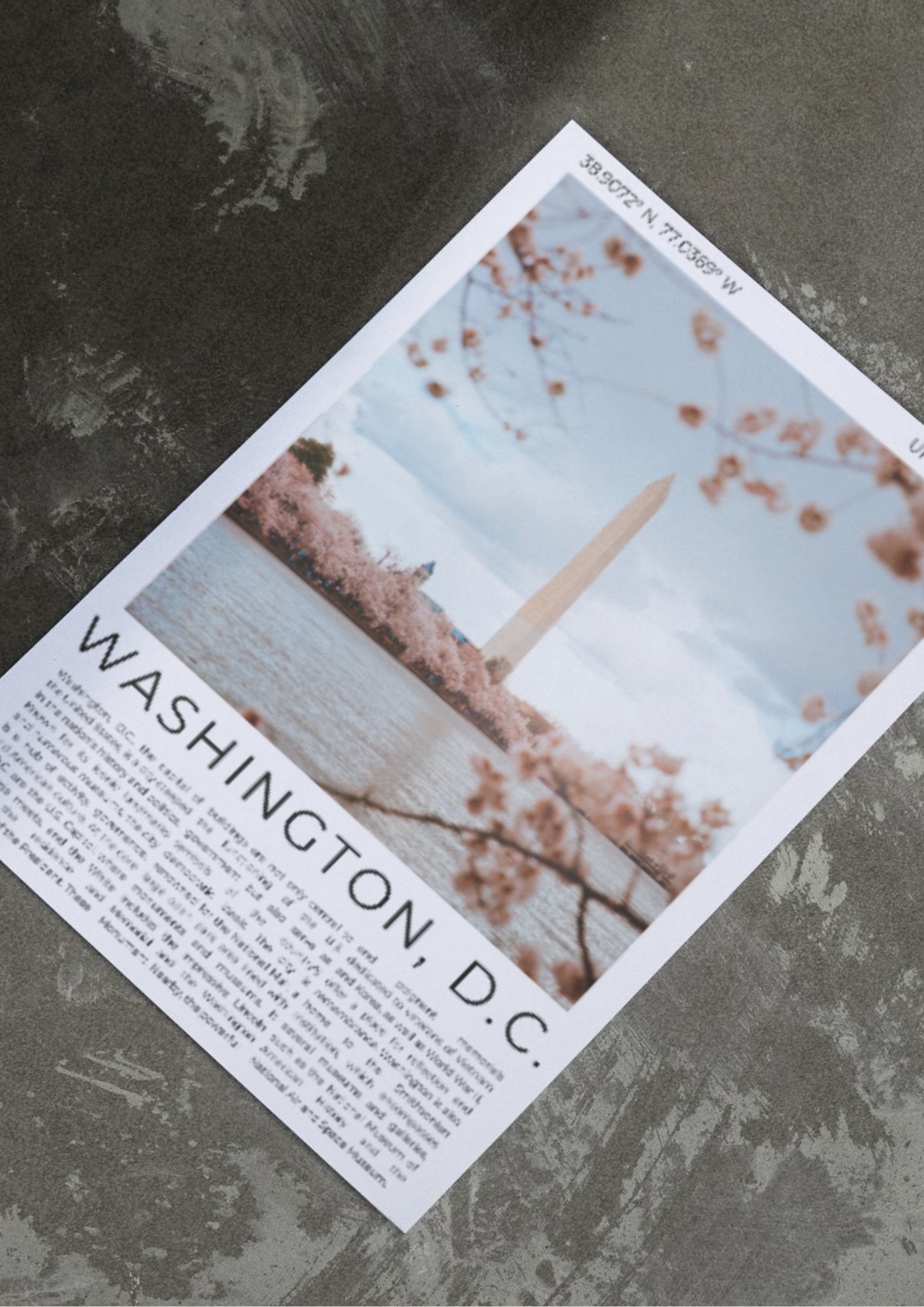 Washington D.C.: The Nation's Capital - ProfessorPrintsUK - A6